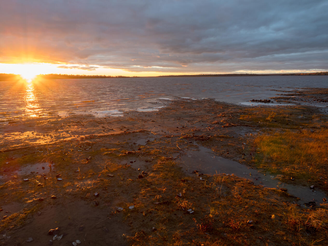 Sun setting, low tide Sun setting, cloudy sky over low tide shore